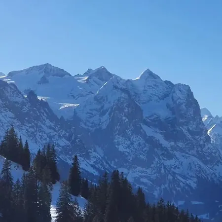 Gemuetliche By Interhome Innertkirchen