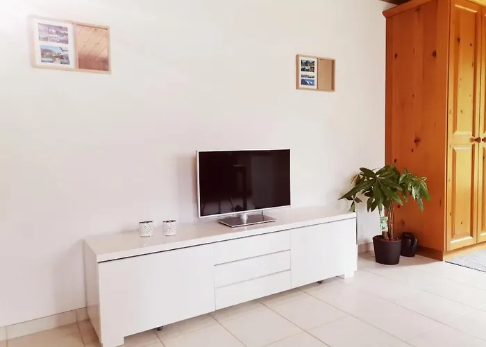 Gemuetliche By Interhome Daire Innertkirchen